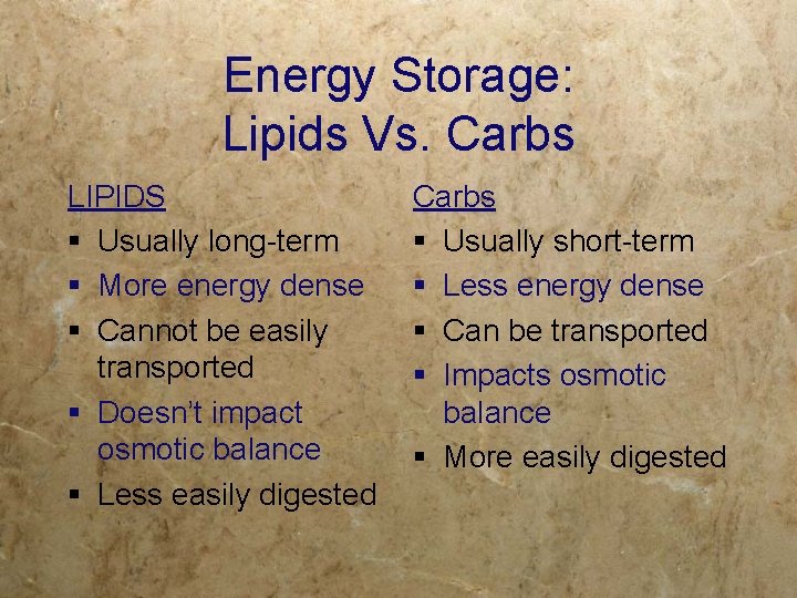 Energy Storage: Lipids Vs. Carbs LIPIDS § Usually long-term § More energy dense §