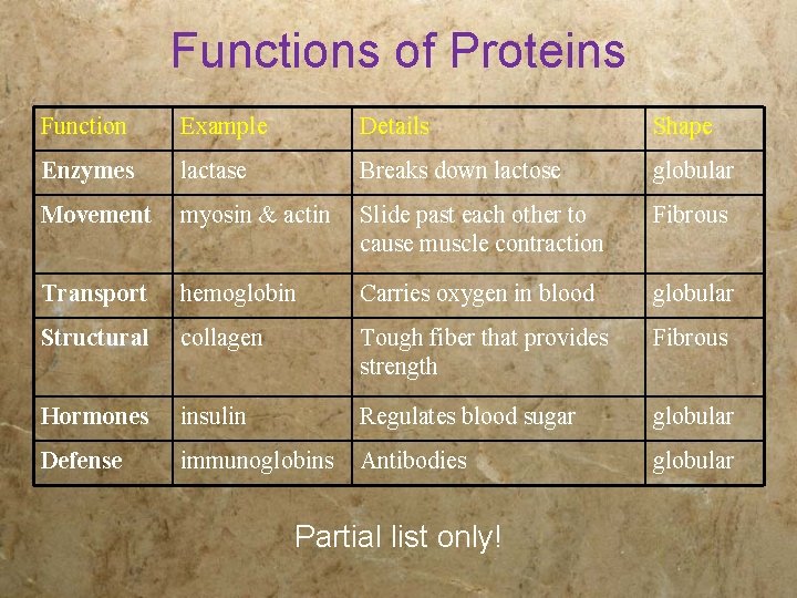 Functions of Proteins Function Example Details Shape Enzymes lactase Breaks down lactose globular Movement