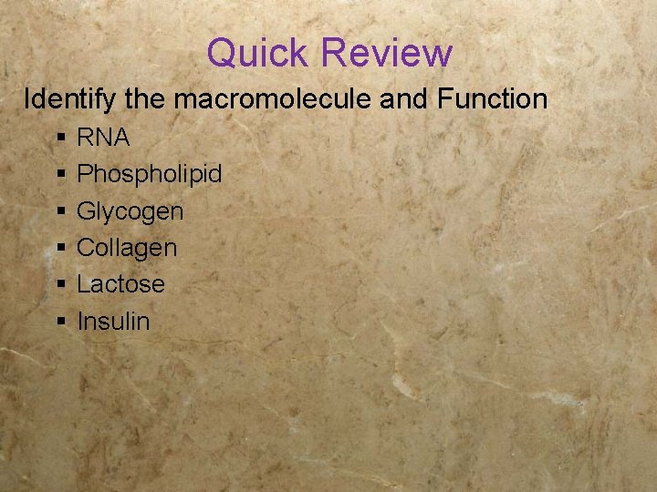 Quick Review Identify the macromolecule and Function § § § RNA Phospholipid Glycogen Collagen