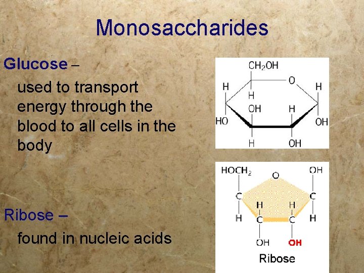 Monosaccharides Glucose – used to transport energy through the blood to all cells in