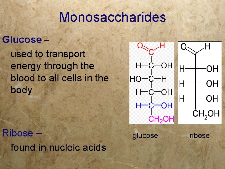 Monosaccharides Glucose – used to transport energy through the blood to all cells in