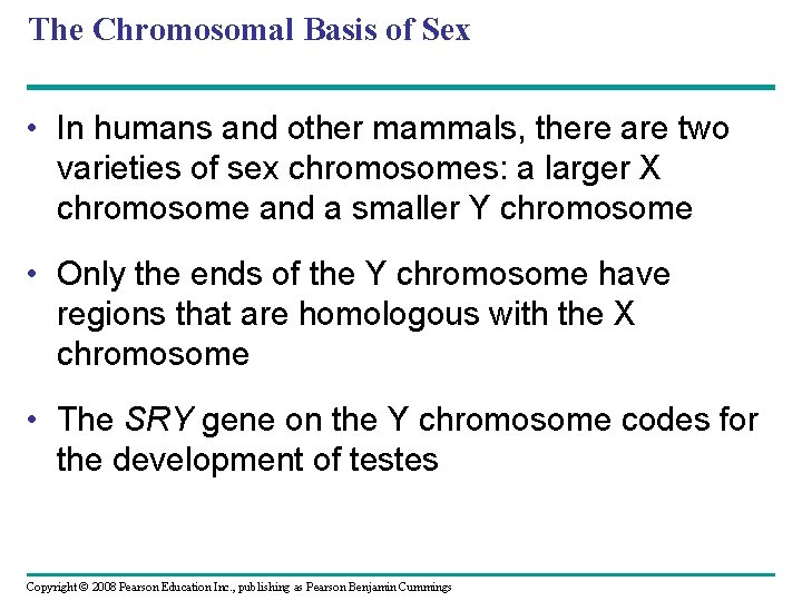 The Chromosomal Basis of Sex • In humans and other mammals, there are two