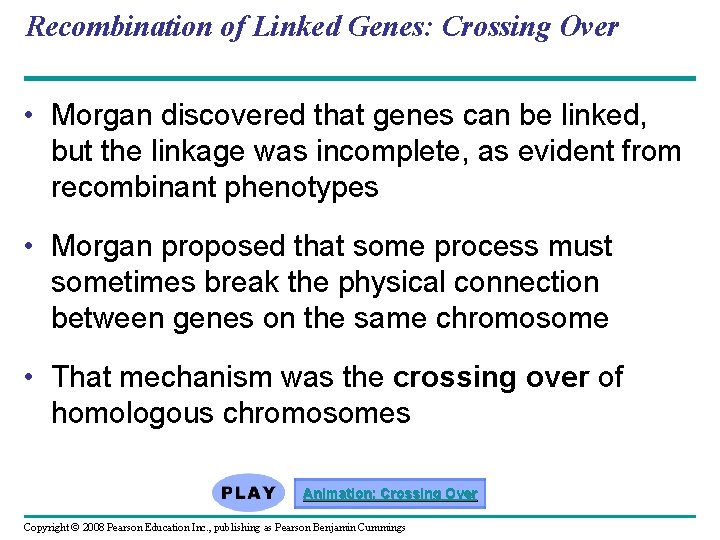 Recombination of Linked Genes: Crossing Over • Morgan discovered that genes can be linked,