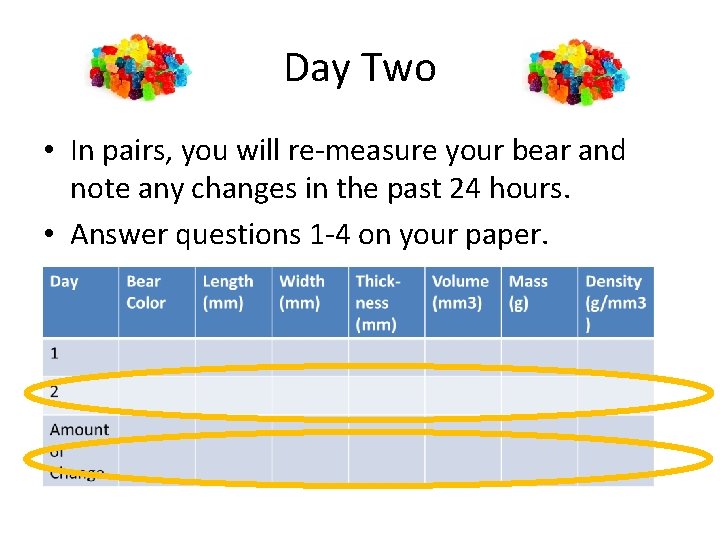 Day Two • In pairs, you will re-measure your bear and note any changes