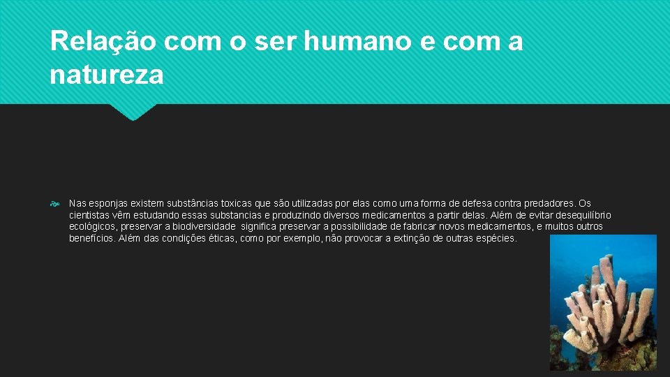 Relação com o ser humano e com a natureza Nas esponjas existem substâncias toxicas