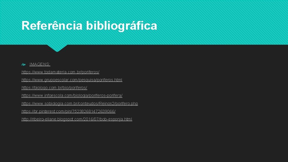 Referência bibliográfica IMAGENS: https: //www. todamateria. com. br/poriferos/ https: //www. grupoescolar. com/pesquisa/poriferos. html https: