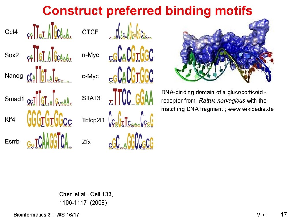 Construct preferred binding motifs DNA-binding domain of a glucocorticoid receptor from Rattus norvegicus with