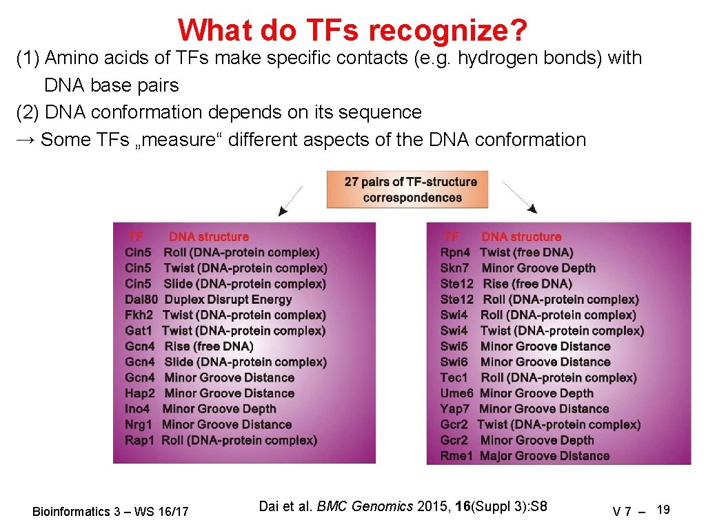 What do TFs recognize? (1) Amino acids of TFs make specific contacts (e. g.