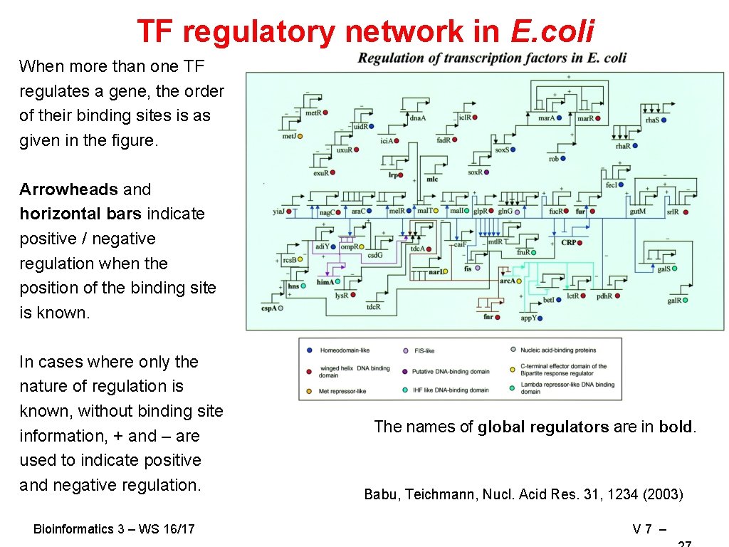 TF regulatory network in E. coli When more than one TF regulates a gene,