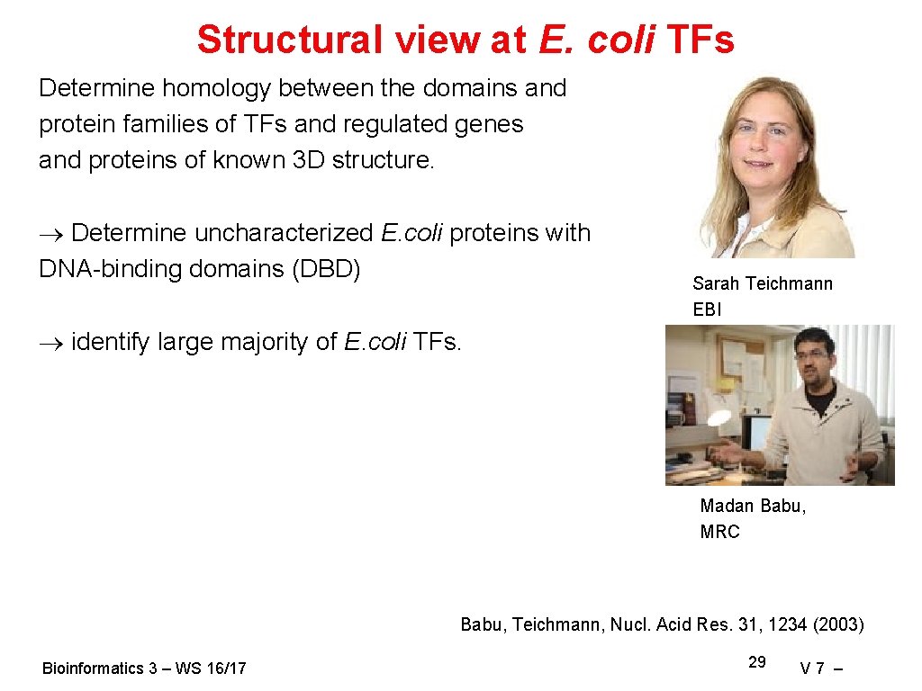 Structural view at E. coli TFs Determine homology between the domains and protein families