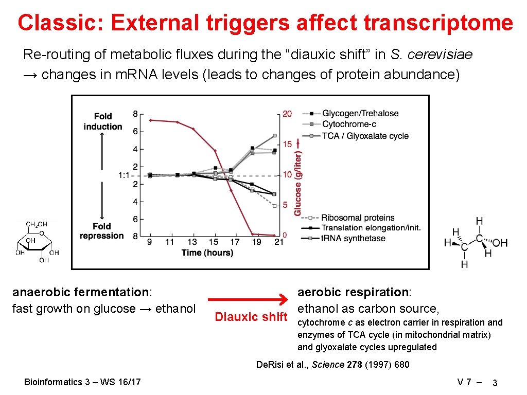 Classic: External triggers affect transcriptome Re-routing of metabolic fluxes during the “diauxic shift” in