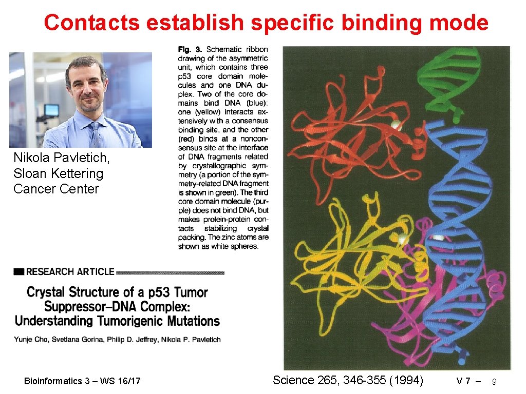 Contacts establish specific binding mode Nikola Pavletich, Sloan Kettering Cancer Center Bioinformatics 3 –