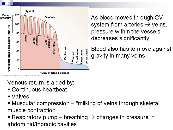 As blood moves through CV system from arteries veins, pressure within the vessels decreases