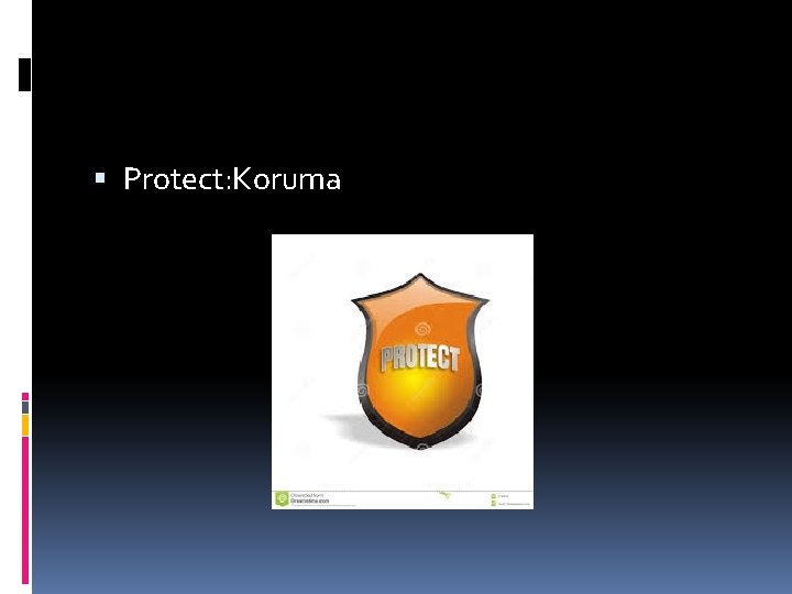  Protect: Koruma 