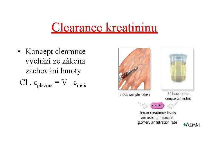 Clearance kreatininu • Koncept clearance vychází ze zákona zachování hmoty Cl. cplazma = V.