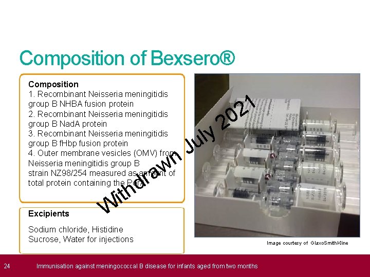 Composition of Bexsero® Composition 1. Recombinant Neisseria meningitidis group B NHBA fusion protein 2.