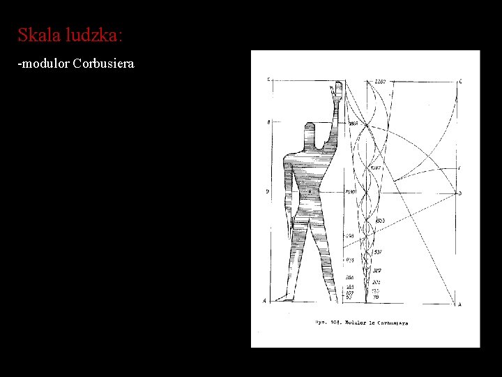 Skala ludzka: -modulor Corbusiera 