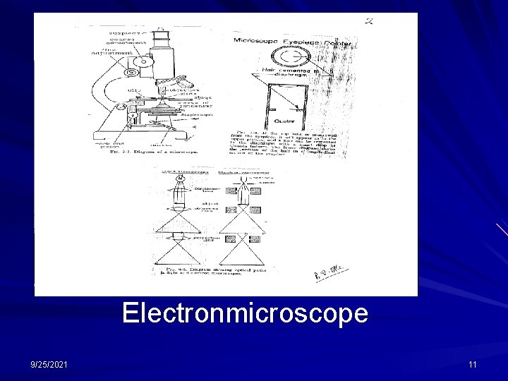 Electronmicroscope 9/25/2021 11 
