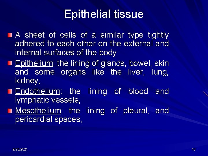 Epithelial tissue A sheet of cells of a similar type tightly adhered to each