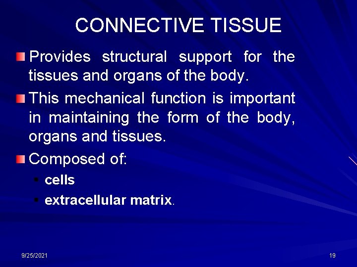 CONNECTIVE TISSUE Provides structural support for the tissues and organs of the body. This