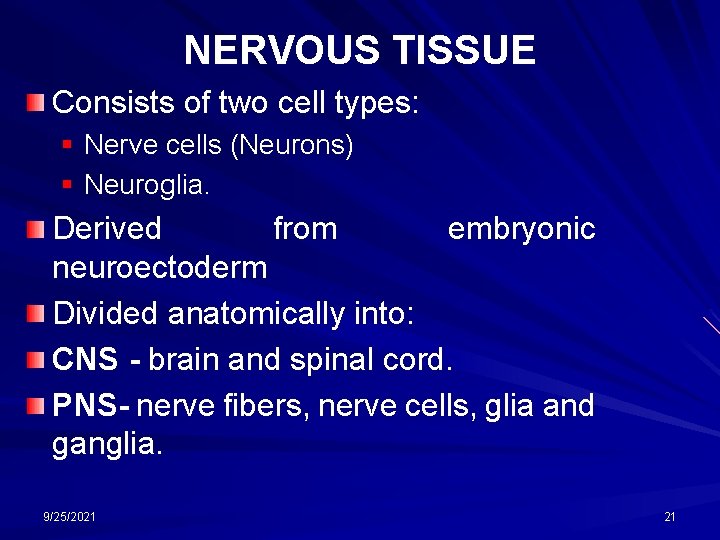 NERVOUS TISSUE Consists of two cell types: § Nerve cells (Neurons) § Neuroglia. Derived