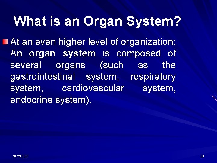 What is an Organ System? At an even higher level of organization: An organ