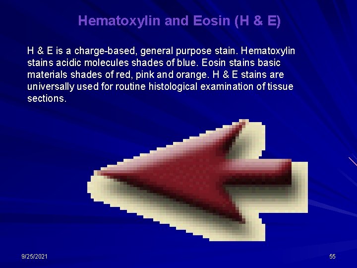 Hematoxylin and Eosin (H & E) H & E is a charge-based, general purpose