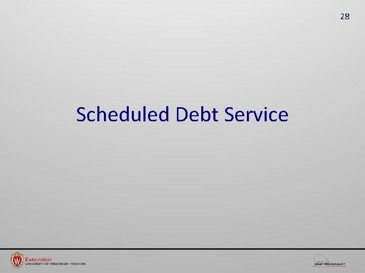 28 Scheduled Debt Service 