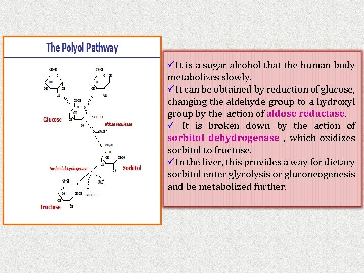 üIt is a sugar alcohol that the human body metabolizes slowly. üIt can be