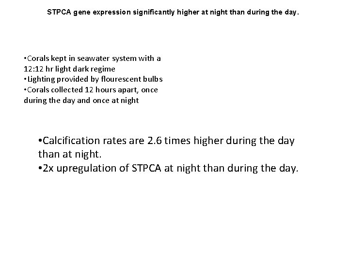 STPCA gene expression significantly higher at night than during the day. • Corals kept