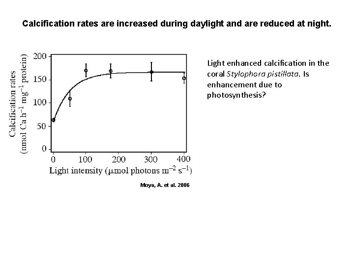 Calcification rates are increased during daylight and are reduced at night. Light enhanced calcification