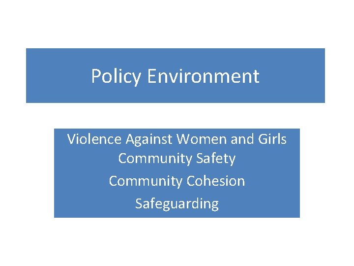 Policy Environment Violence Against Women and Girls Community Safety Community Cohesion Safeguarding Policy Environment Violence Against Women and Girls Community Safety Community Cohesion Safeguarding