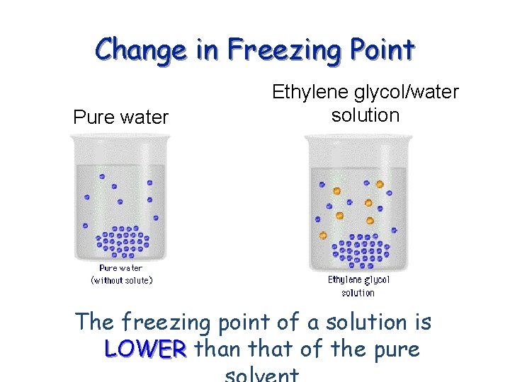 Change in Freezing Point Pure water Ethylene glycol/water solution The freezing point of a