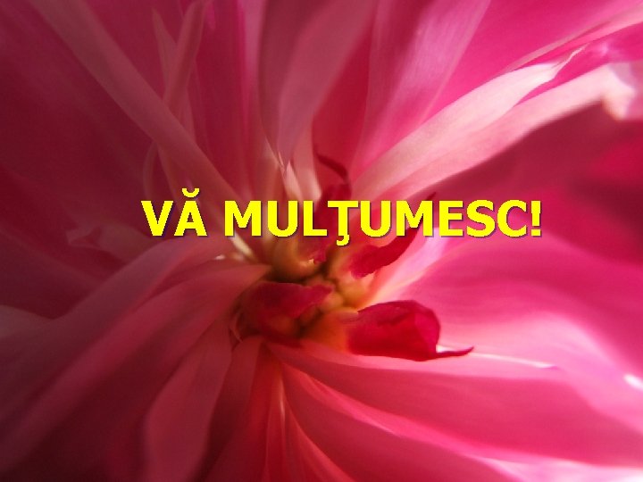 VĂ MULŢUMESC! 