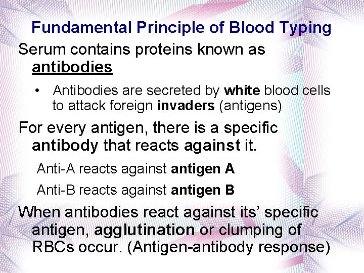Fundamental Principle of Blood Typing Serum contains proteins known as antibodies • Antibodies are