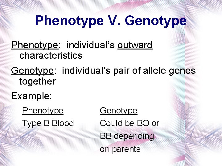 Phenotype V. Genotype Phenotype: individual’s outward characteristics Genotype: individual’s pair of allele genes together