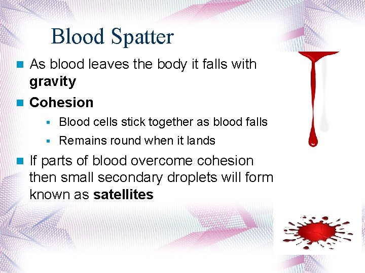 Blood Spatter As blood leaves the body it falls with gravity Cohesion § Blood