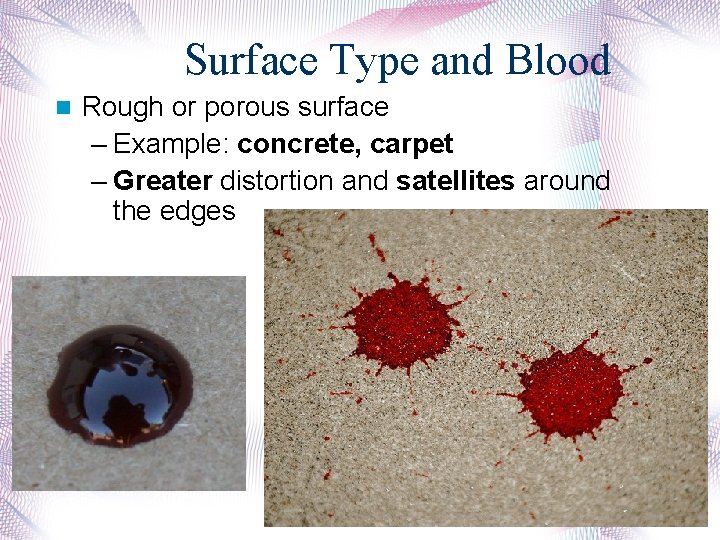 Surface Type and Blood Rough or porous surface – Example: concrete, carpet – Greater
