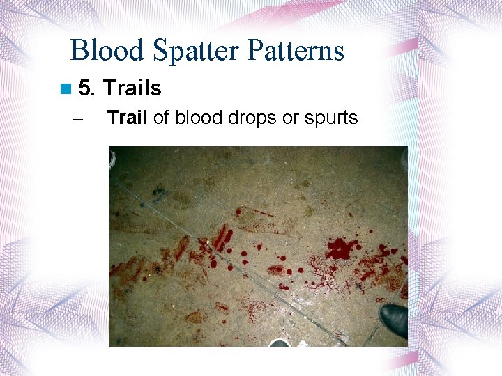 Blood Spatter Patterns 5. – Trails Trail of blood drops or spurts 