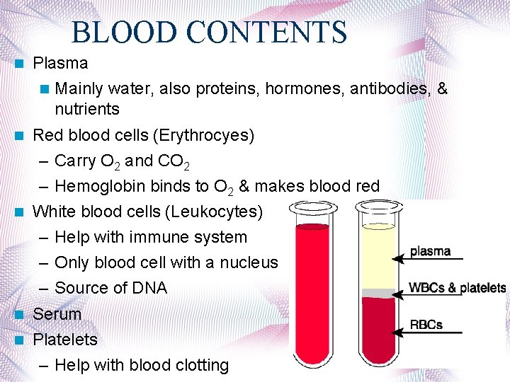 BLOOD CONTENTS Plasma Mainly water, also proteins, hormones, antibodies, & nutrients Red blood cells