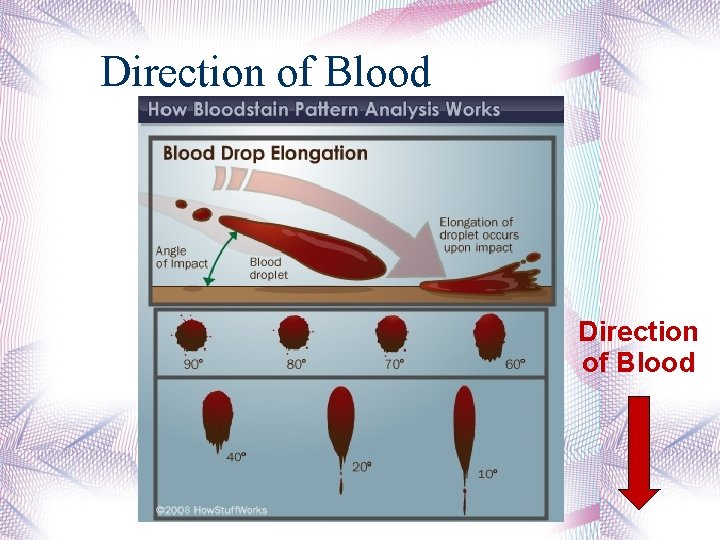Direction of Blood 