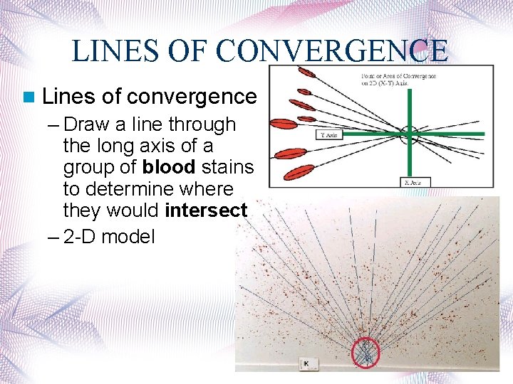 LINES OF CONVERGENCE Lines of convergence – Draw a line through the long axis