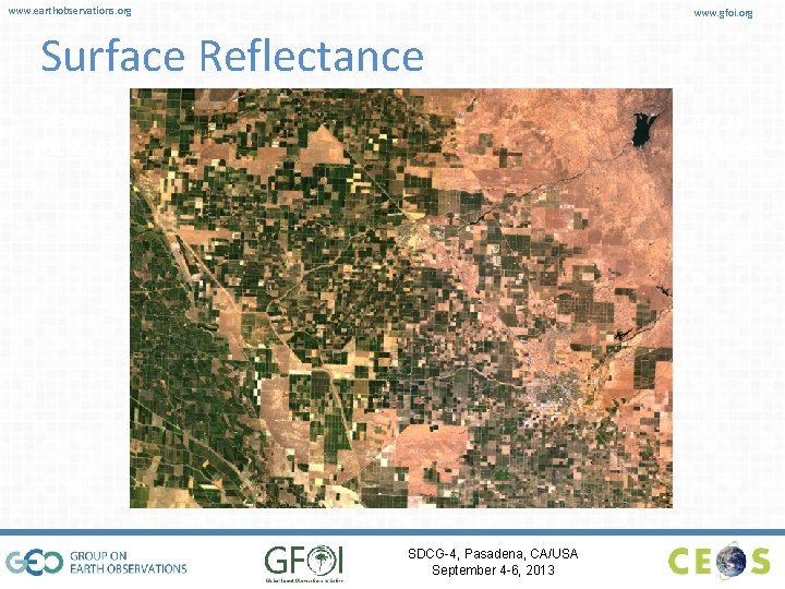 www. earthobservations. org www. gfoi. org Surface Reflectance 43/34 JUL 22 07 42/34 JUL