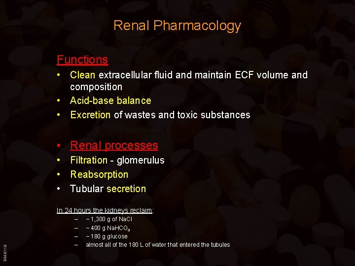 Renal Pharmacology Functions • Clean extracellular fluid and maintain ECF volume and composition •