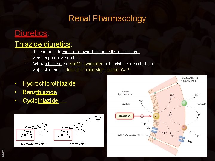 Renal Pharmacology Diuretics: Thiazide diuretics: – – Used for mild to moderate hypertension, mild