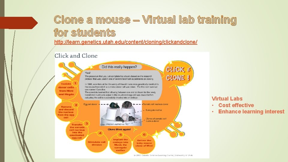 Clone a mouse – Virtual lab training for students http: //learn. genetics. utah. edu/content/cloning/clickandclone/