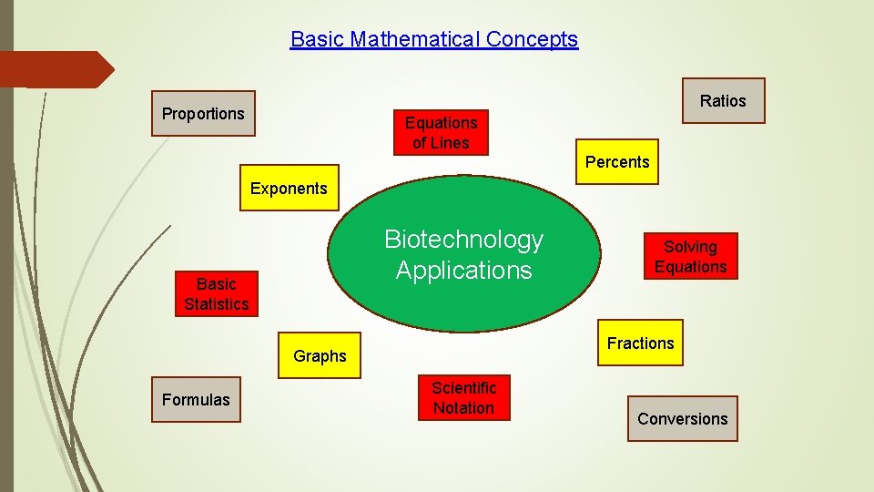 Basic Mathematical Concepts Ratios Proportions Equations of Lines Percents Exponents Biotechnology Applications Basic Statistics