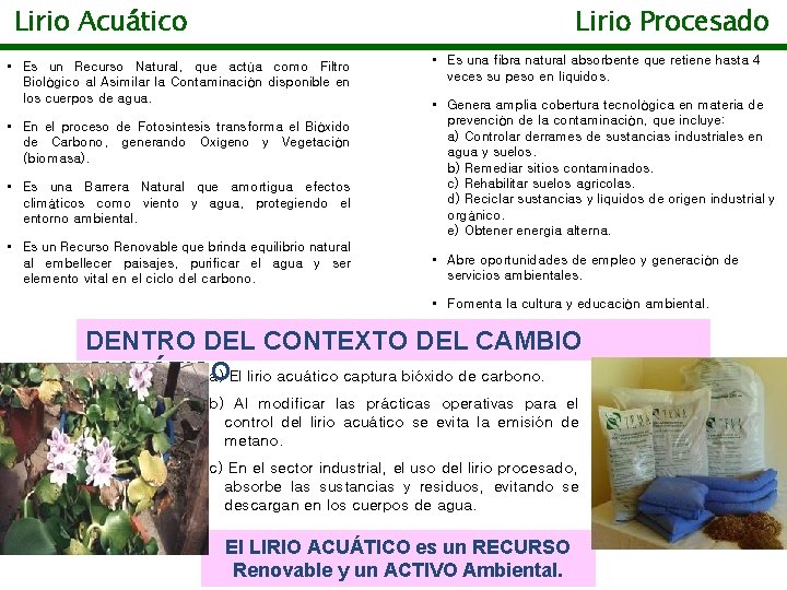 Lirio Acuático Lirio Procesado • Es un Recurso Natural, que actúa como Filtro Biológico