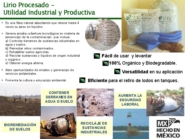 Lirio Procesado Utilidad Industrial y Productiva • Es una fibra natural absorbente que retiene