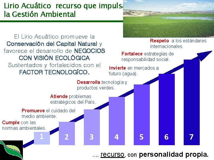 Lirio Acuático recurso que impulsa la Gestión Ambiental El Lirio Acuático promueve la Conservación